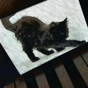 The cat is on the piano